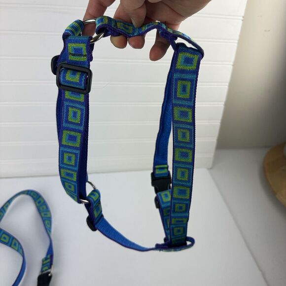 Lupine Pet Nylon Roman Dog Harness 1” Blue Green Sea Glass 20”-32” + 5ft Leash - Picture 6 of 6